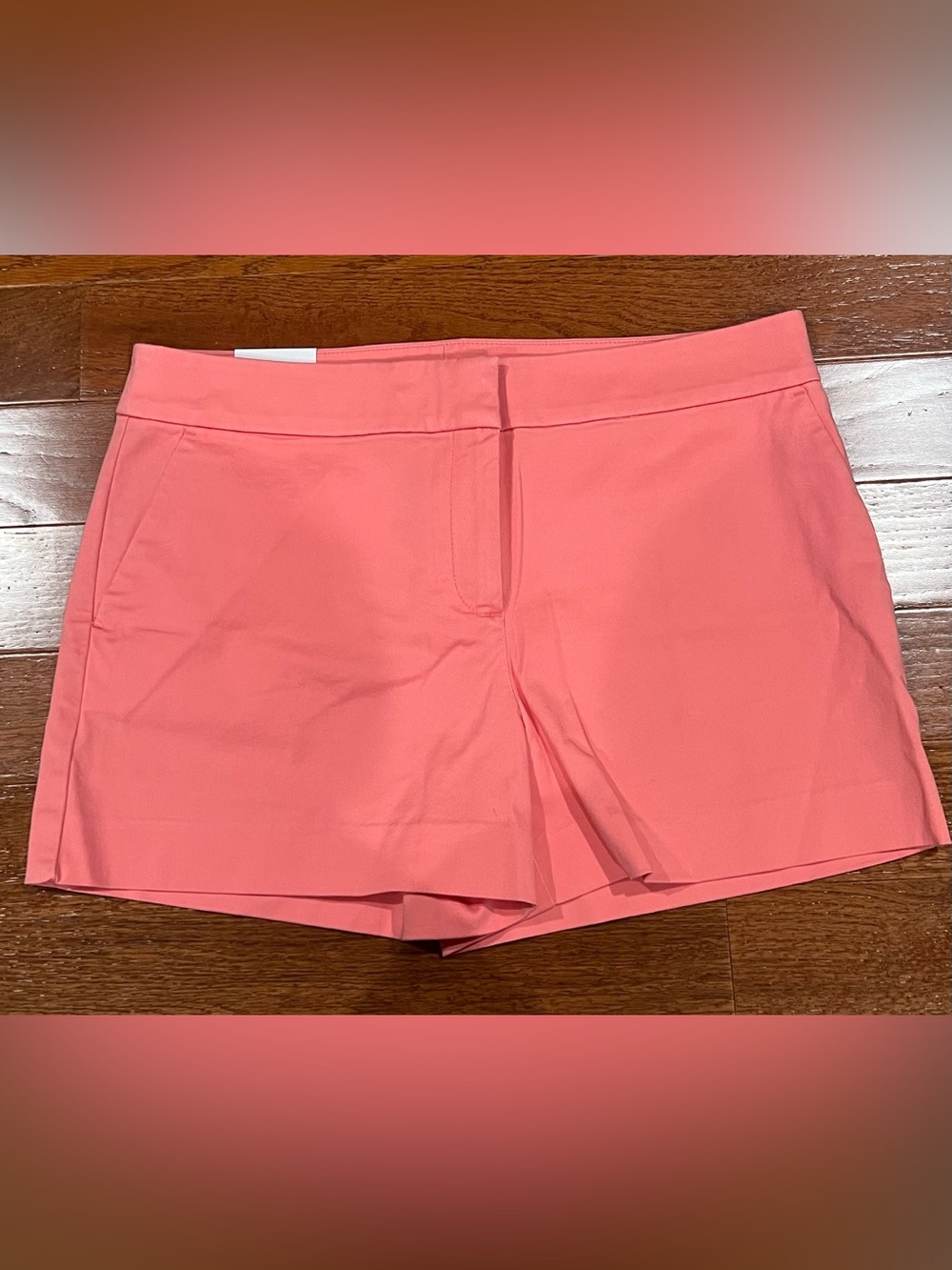 Loft Women’s Coral Pink Stretch Shorts